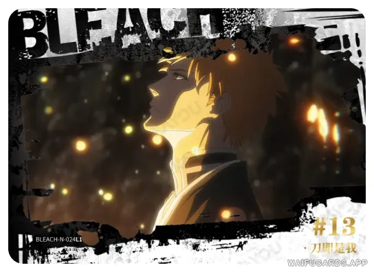 Ichigo Kurosaki — N #024, BLEACH-T4W1