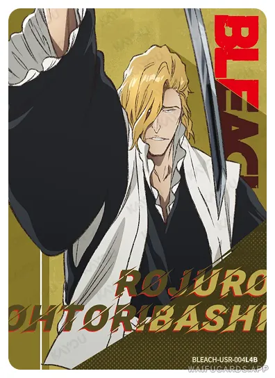 Роджуро Оторибаши — USR #004, BLEACH-T4W1