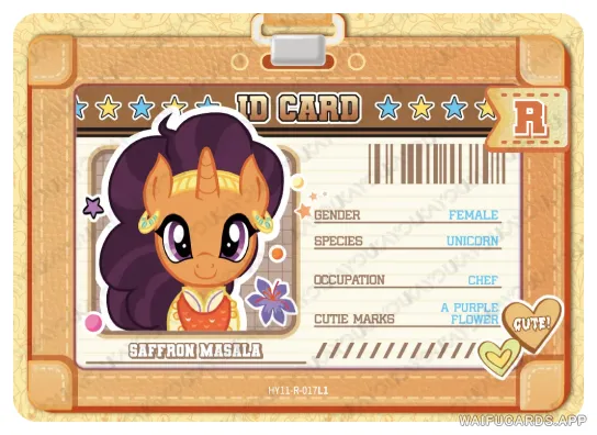 Saffron Masala — R #017, MLP-T4W11