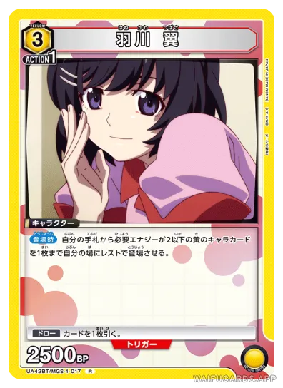 Tsubasa Hanekawa — R #017, UA42BT