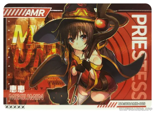 Megumin — AMR #005, WBSN-001