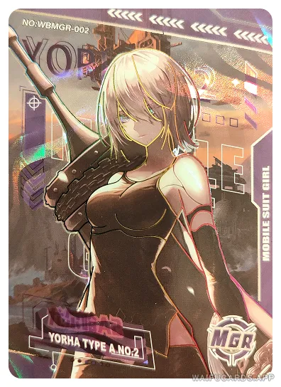 2A — MGR #002, WBSN-001