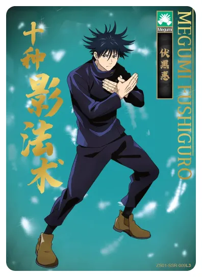 Fushiguro Megumi — SSR #009, ZS-SS-ZS001