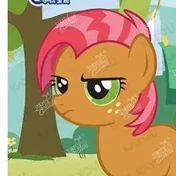 Babs Seed