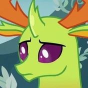 Thorax
