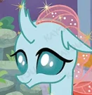 Ocellus