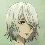 A2